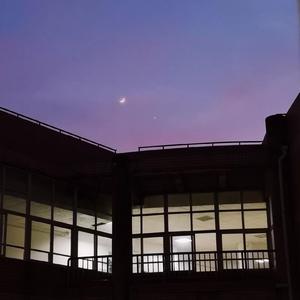 欧美成人四级HD版
